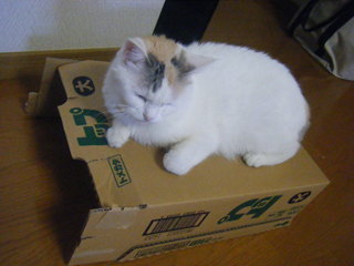 DSCF6703.JPG